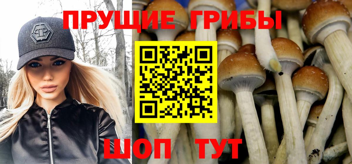 Псилоцибиновые грибы ЛСД  купить закладку  Новосибирск  Вход с VPN 